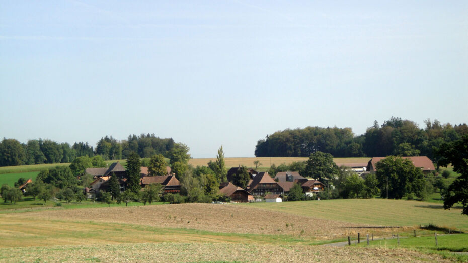 Landschaftsbild mit Weilern in Herzwil umgeben von Feldern.