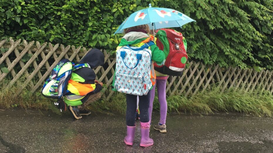 Kinder in bunter Regenkleidung auf ihrem Schulweg.