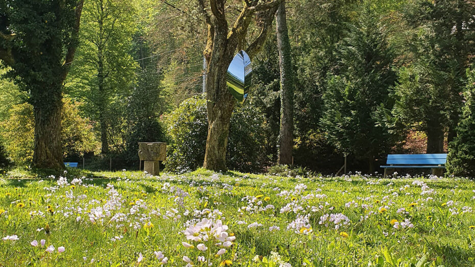 Park im Friedhof Wabern Dorf. Im Vordergrund ist eine grüne Wiese mit rosafarbenen Blumen übersät. Im Hintergrund sind grosse Bäume und eine blaue Sitzbank zusehen.